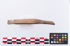 Foto von Beinmessergriffplatte (NHMW-PRAE-002296)